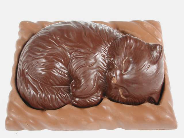 choccat.jpg